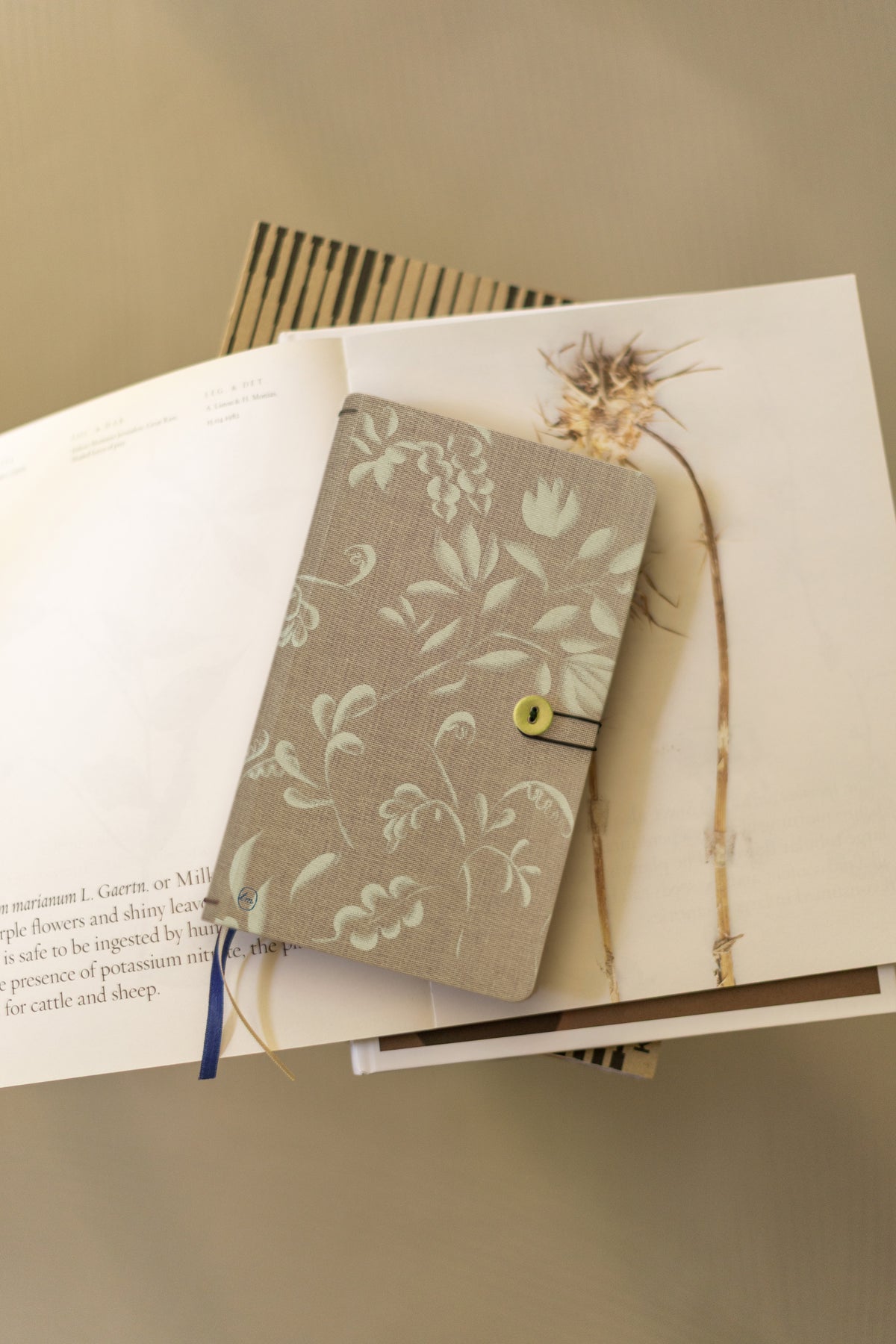 Combination Notebook button cumin leaves + Diary 2027 refill
