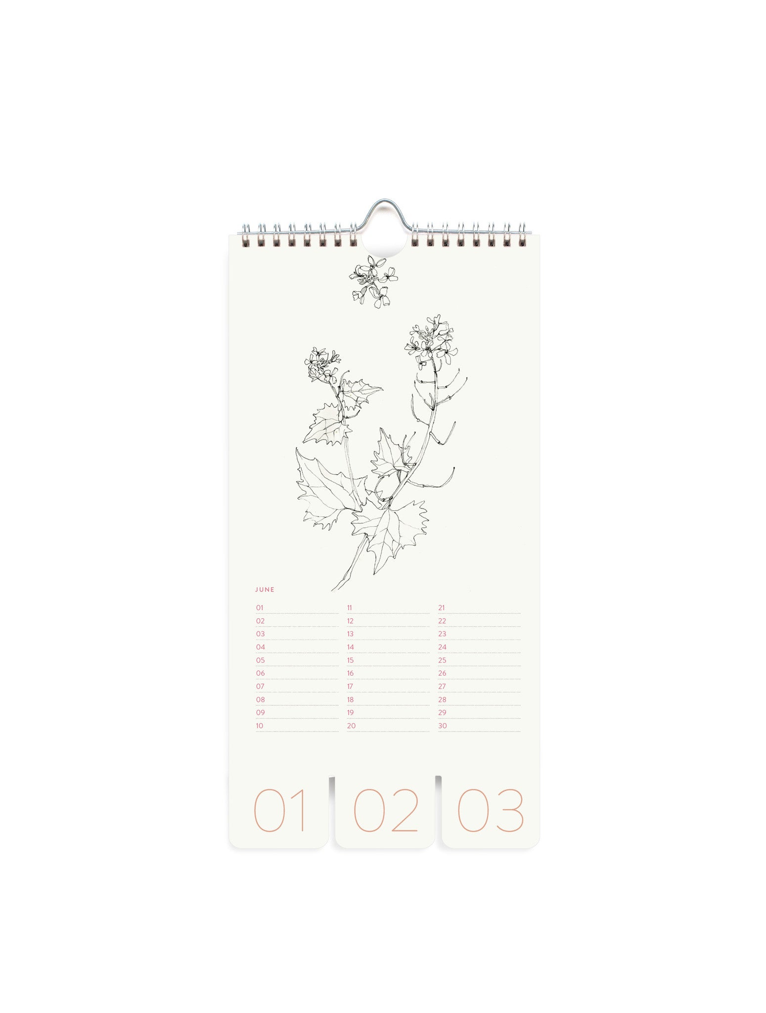Birthday calendar - Graphic Botanique - FSC Mix Credit