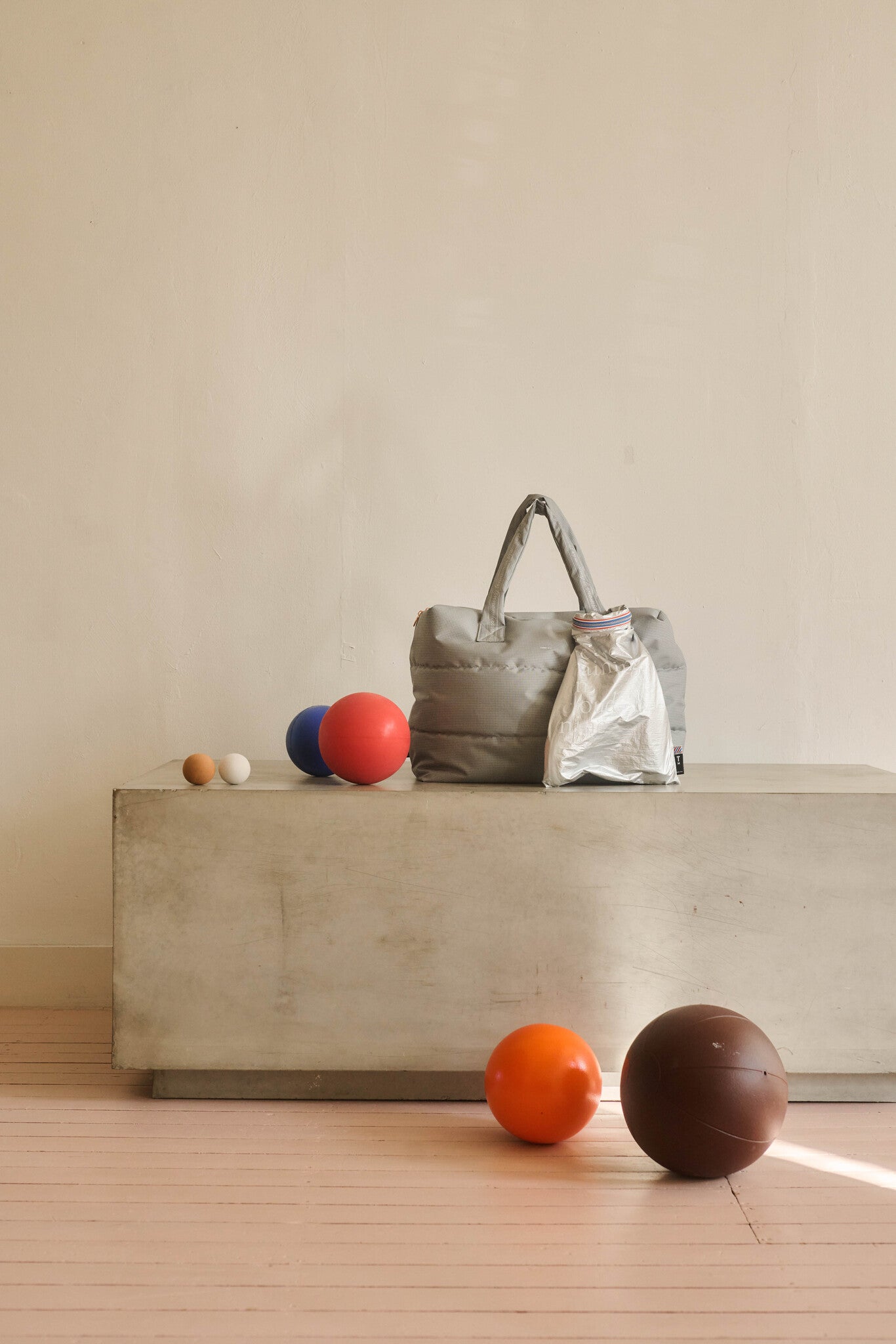Shoe bag - sports